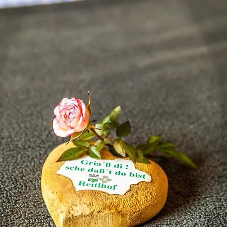 Appartement Reitlhof Bio-Bergbauernhof Bei Salzburg * Krispl