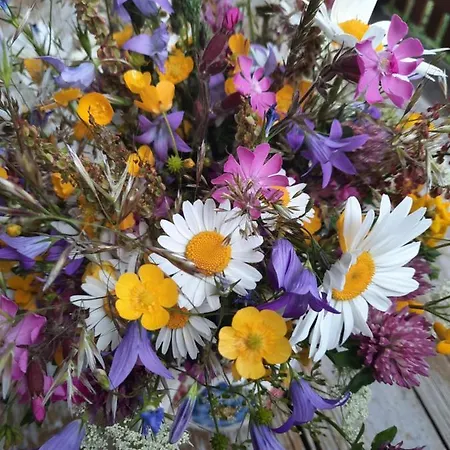 Appartement Reitlhof Bio-Bergbauernhof Bei Salzburg Διαμέρισμα Krispl