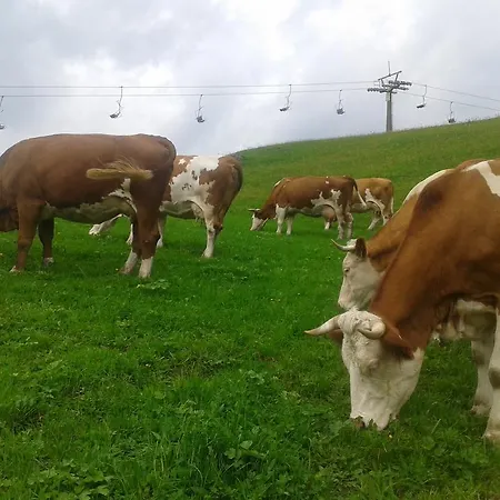 莱特霍夫公寓 Krispl