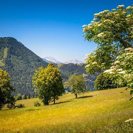 Appartement Reitlhof Bio-Bergbauernhof Bei Salzburg *