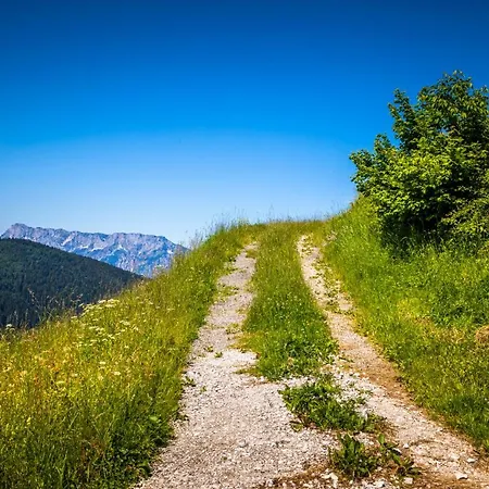 Διαμέρισμα Appartement Reitlhof Bio-Bergbauernhof Bei Salzburg