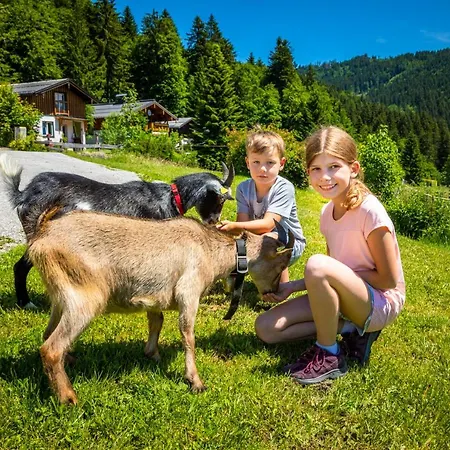 Appartement Reitlhof Bio-Bergbauernhof Bei Salzburg