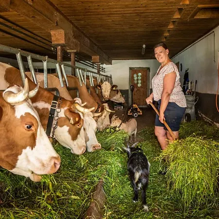 Appartement Reitlhof Bio-Bergbauernhof Bei Salzburg Διαμέρισμα *