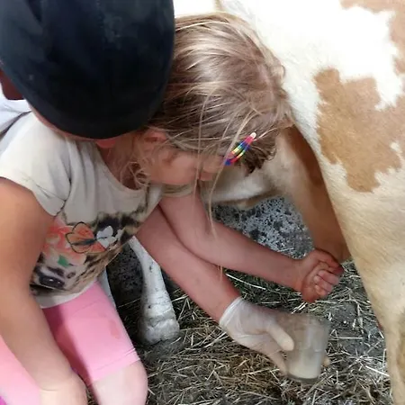 Appartement Reitlhof Bio-Bergbauernhof Bei Salzburg * Krispl