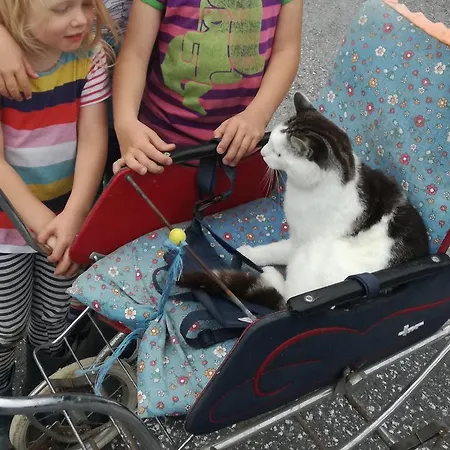 Appartement Reitlhof Bio-Bergbauernhof Bei Salzburg Διαμέρισμα Krispl