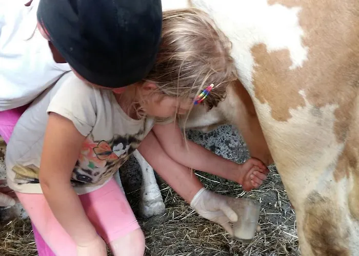 Reitlhof, Familie Krispler, Krispl * Krispl